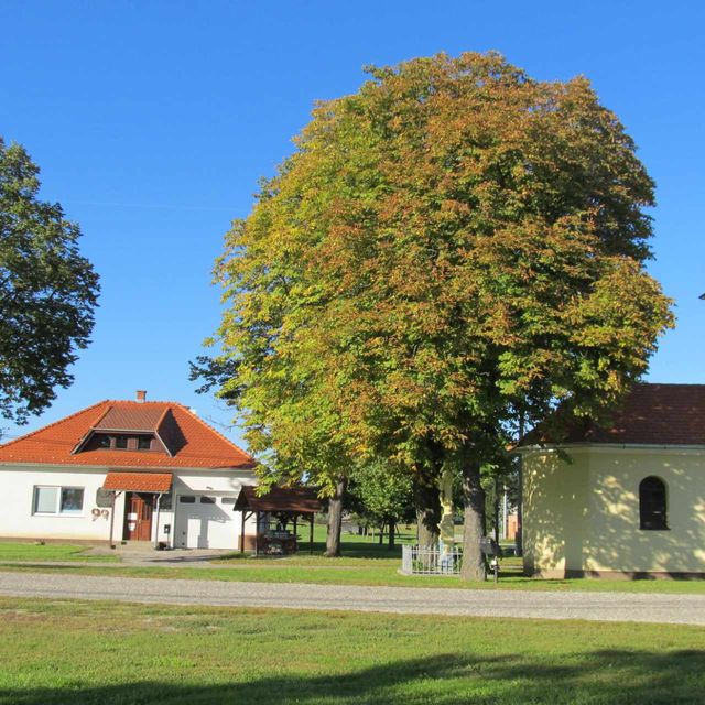 Info center Bukovniško jezero