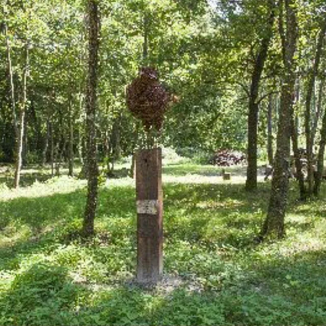 Info center Bukovniško jezero