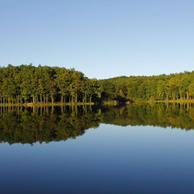 Info center Bukovniško jezero