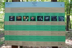 Info center Bukovniško jezero