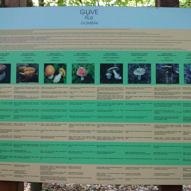 Info center Bukovniško jezero