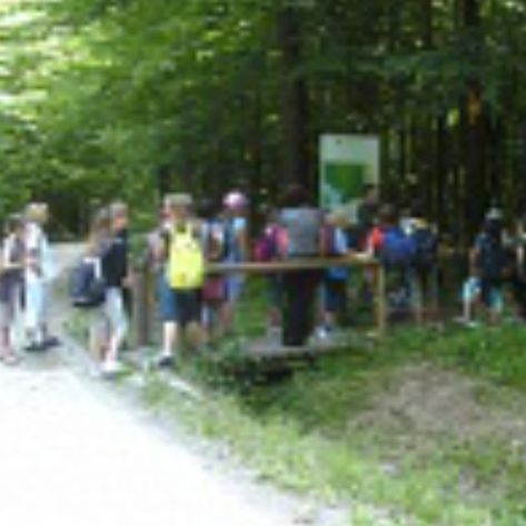 Info center Bukovniško jezero