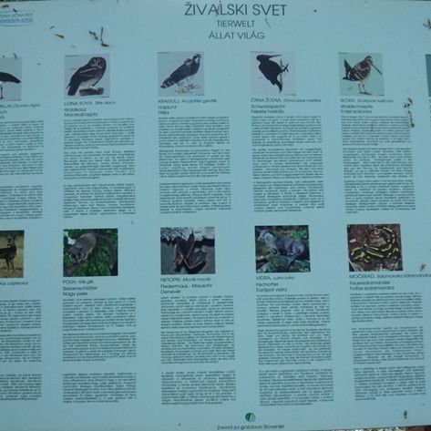 Info center Bukovniško jezero