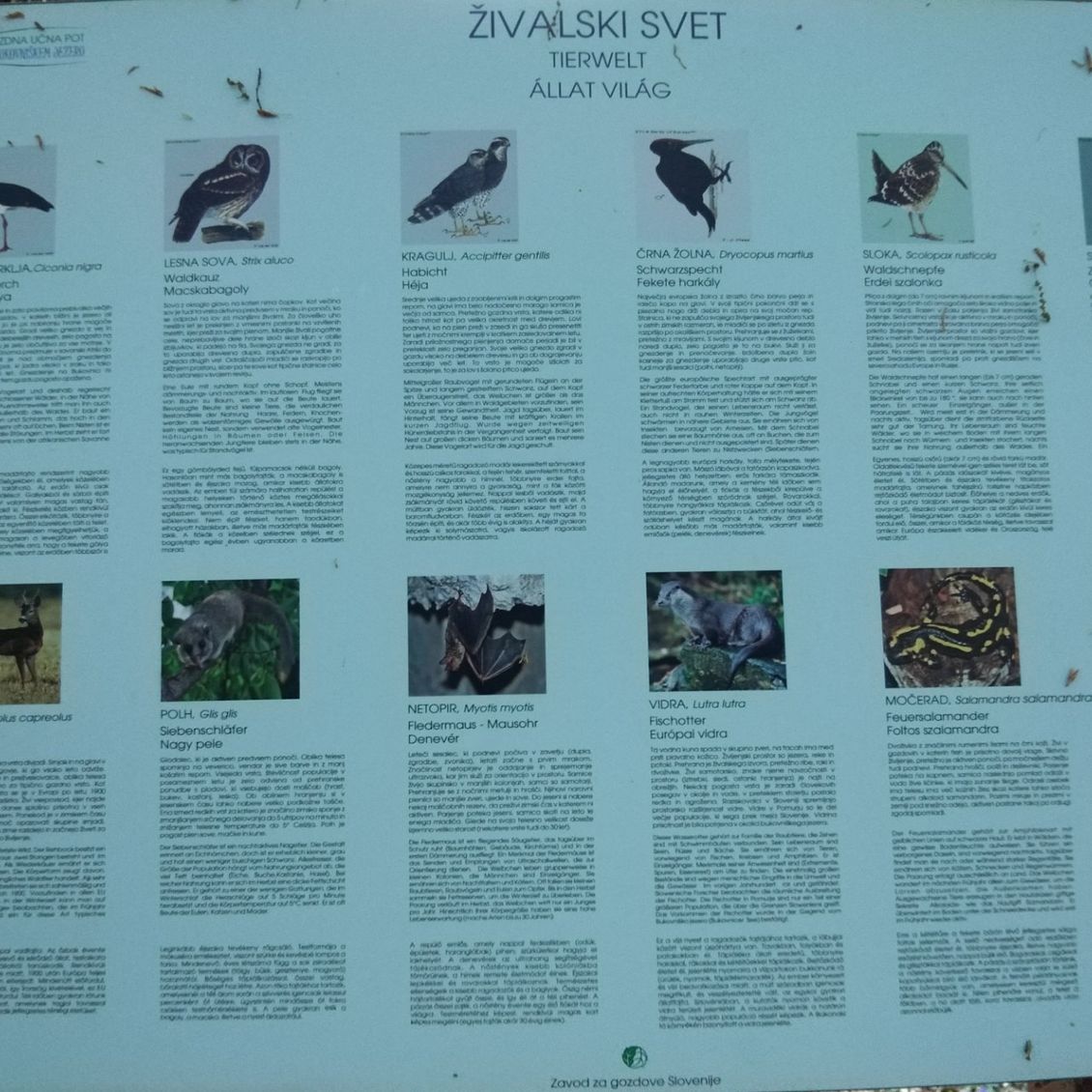 Info center Bukovniško jezero
