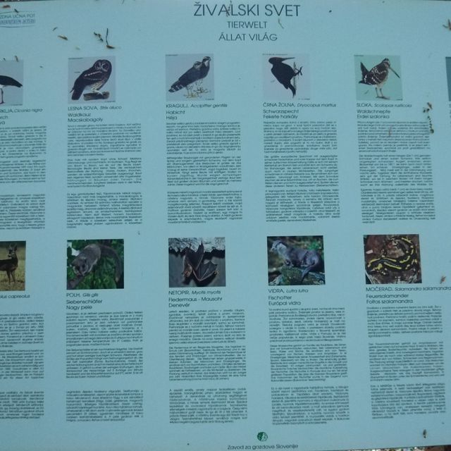 Info center Bukovniško jezero