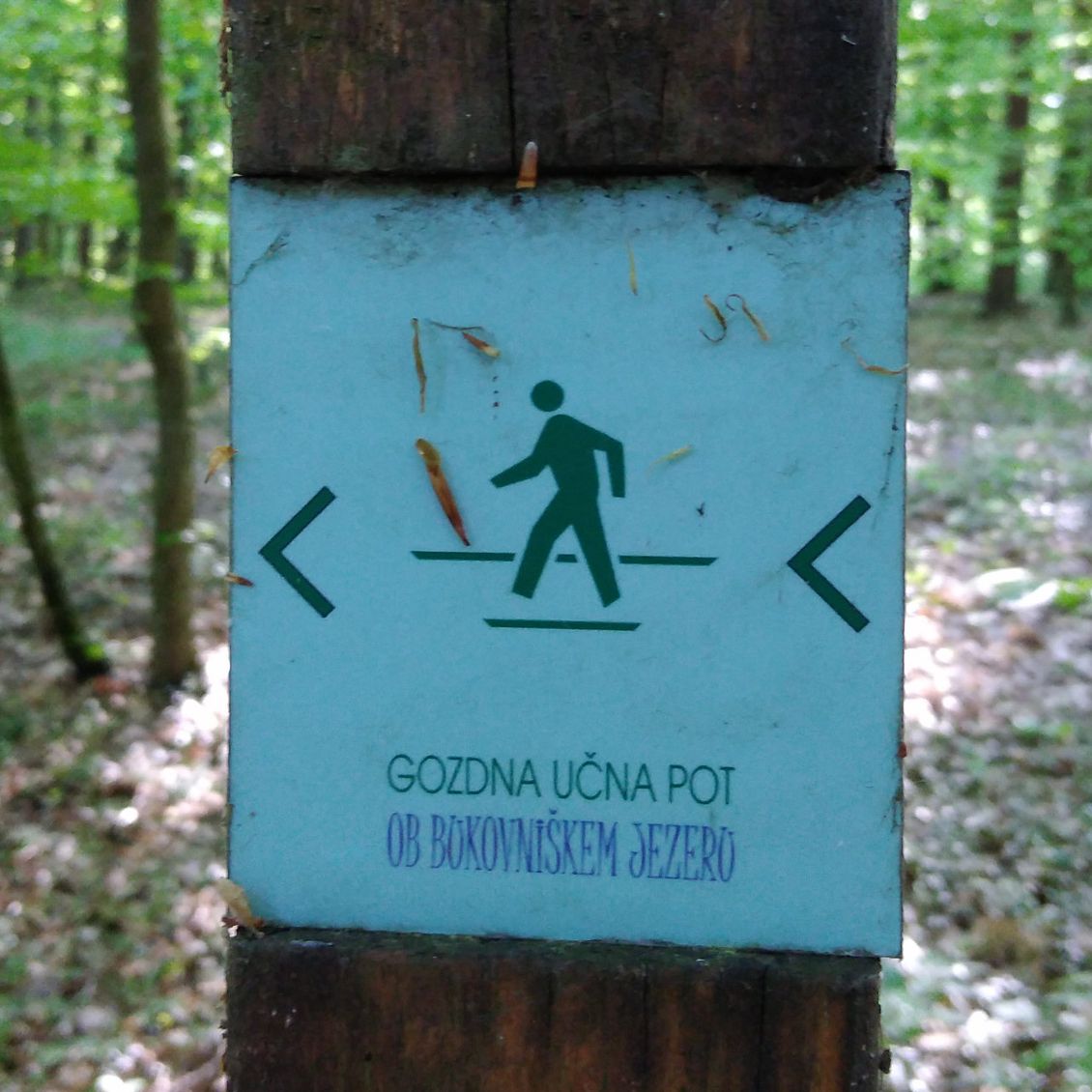 Info center Bukovniško jezero
